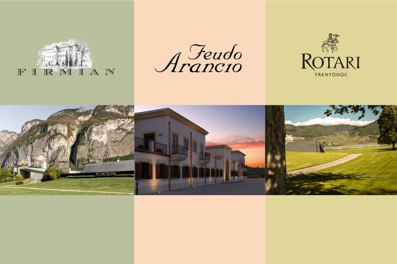 Alpine Frische & mediterrane Kraft