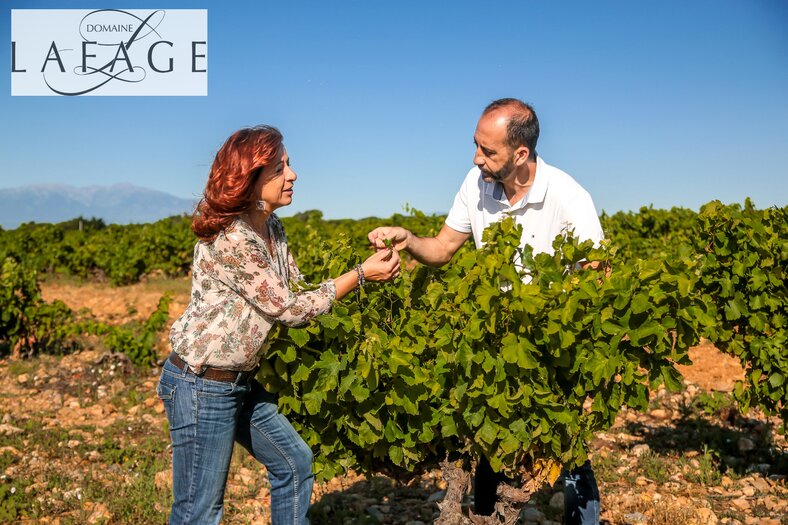 Domaine Lafage Produzent