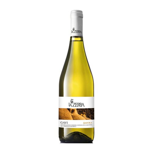 Gavi DOCG Anfora