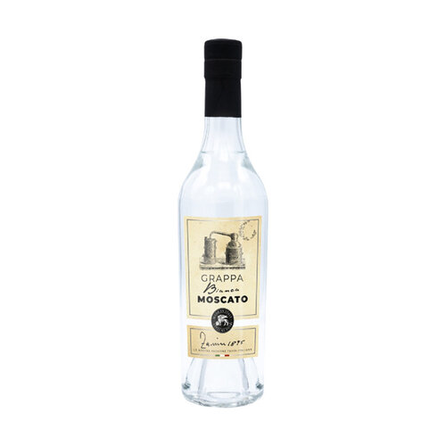Zanin Moscato Bianca Grappa «Linie Alambicchini»