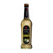 Riemerschmid Cane Sugar Barsirup Glas
