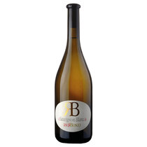 Sauvignon Blanc IGT delle Venezie