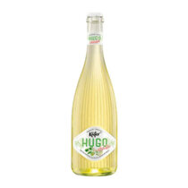 Käfer Hugo