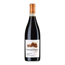 Magna Terra Italica Amarone della Valpolicella DOCG
