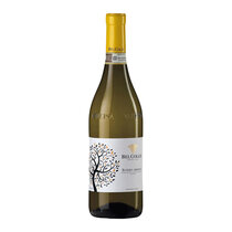Bel Colle Roero Arneis DOCG