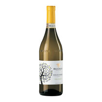 Bel Colle Turnalunga Moscato d Asti DOCG