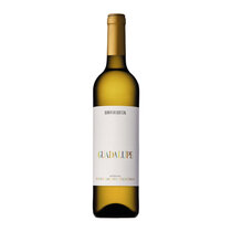Guadalupe Winemaker’s Selection Branco Alentejo DOC