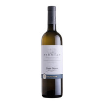 Pinot Grigio Trentino DOC Castel Firmian Mezzacorona