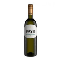 Payr Grüner Veltliner Löss Bio