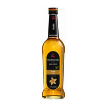 Riemerschmied Vanilla Barsirup Glas