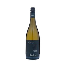 Grüner Veltliner Käferberg Alte Reben Kamptal DAC Reserve
